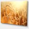 Designart - Ears of Golden Wheat Close up - Large Landscape Canvas Art